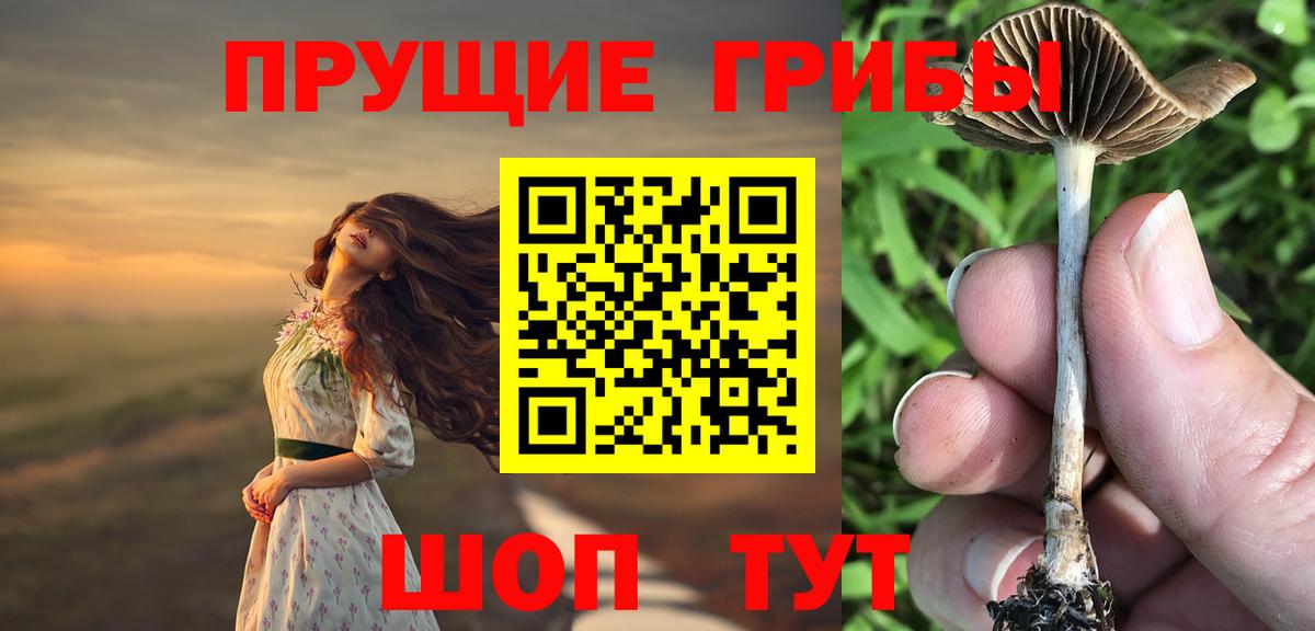 Галлюциногенные грибы Psilocybe  Вход с VPN  Псилоцибиновые грибы прущие грибы  Асбест 